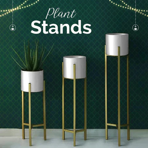 Plants Stand