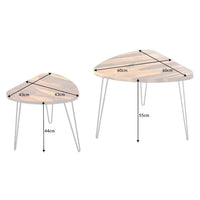 Sheesham Wood Oval Shape Nested Coffee Table with Hairpin Legs in Honey Finish