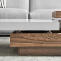 Engineered Wood Andre Coffee Table