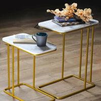 Barack Nesting Coffee Table Set Of 2